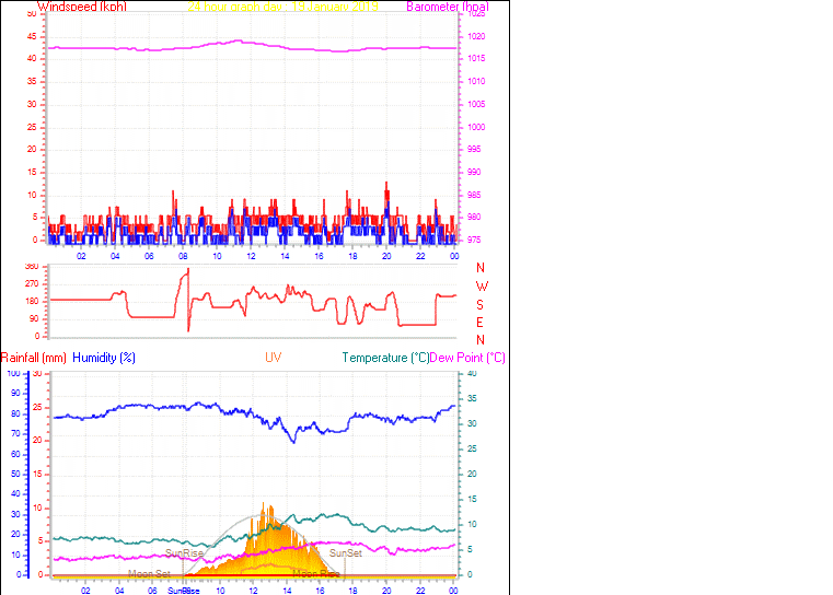 24 Hour Graph for Day 19