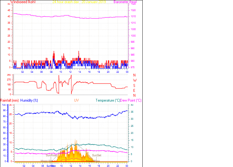 24 Hour Graph for Day 20